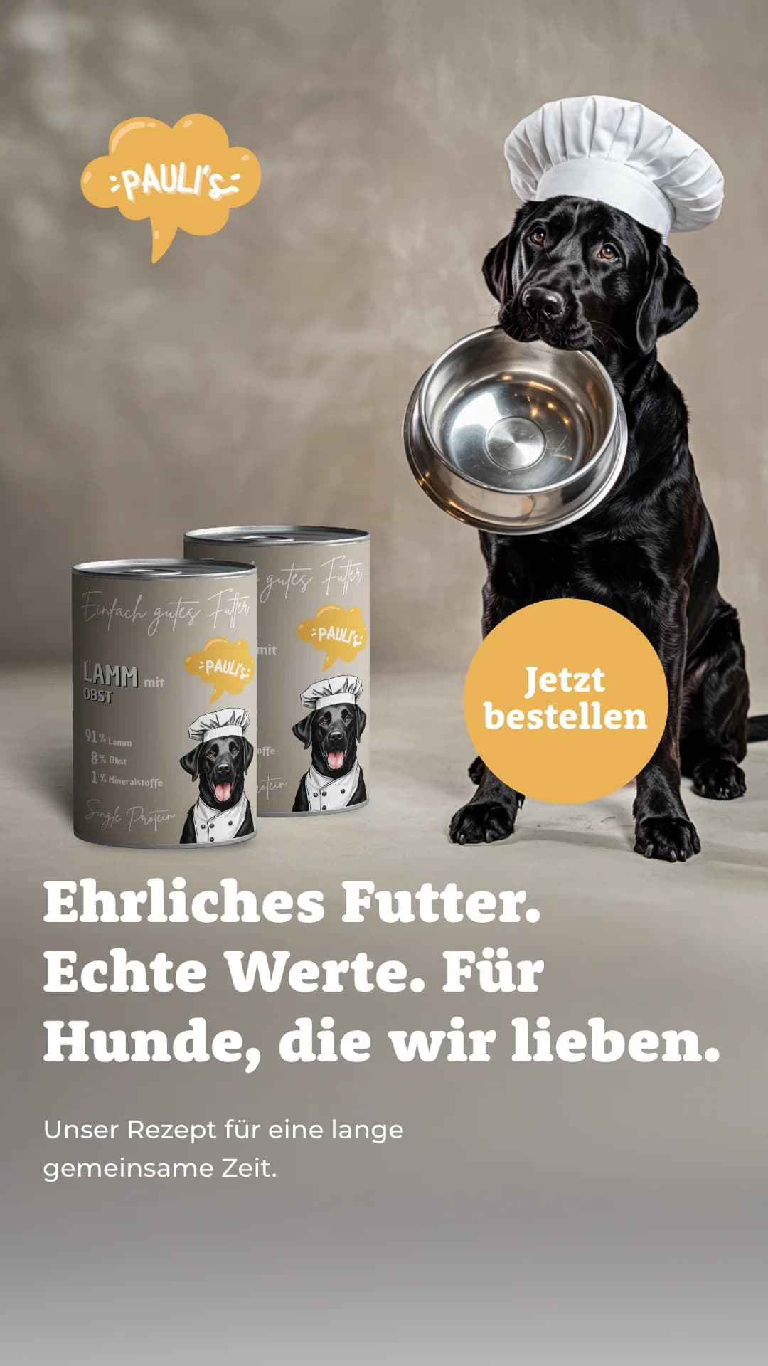 Ad Creative Beispiel 33